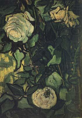 Vincent Van Gogh Roses and Beetle (nn04) china oil painting image